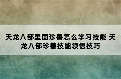 天龙八部里面珍兽怎么学习技能 天龙八部珍兽技能领悟技巧